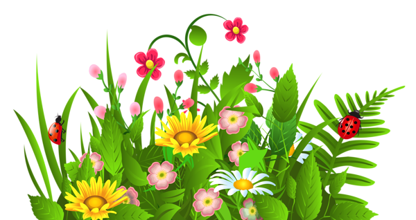 Cute grass and flowers png clipart