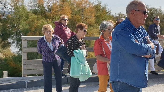 31-ANR - Marignane - petit train - 17 oct 2019