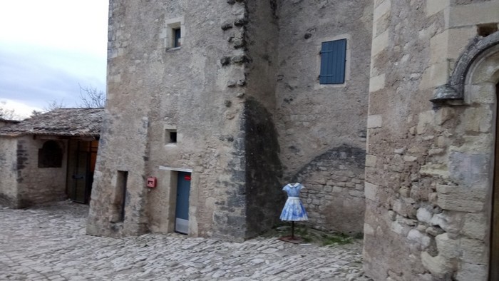 60-chateau de savan - 2 fev 2017
