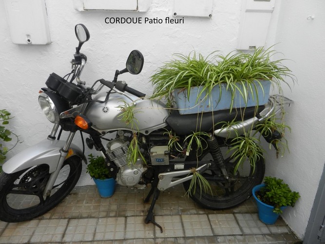 ANR Andalousie  2018 - 33